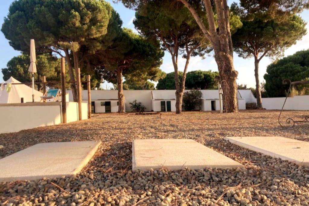 Cadiz - Buda, Acogedor Apartamento En Chiclana De La Frontera, Espana Bagian luar foto